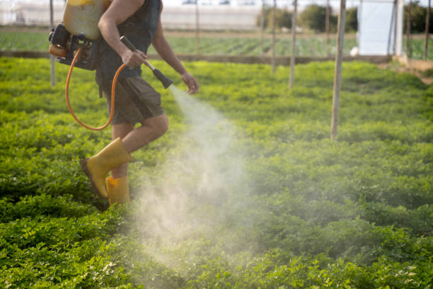 Best Pest Prevention Services  in Kittredge, CO